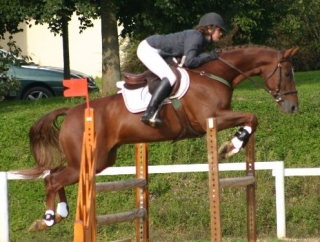  Centro ecuestre y pony club de Caen 